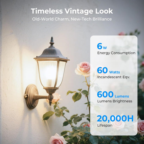 Dimmable Edison Bulbs, 4000K Daylight White, 6W Equivalent to 60 watt E26 LED Bulb, ST58 Vintage Light Bulbs, 600LM, 90+ CRI, E26 Base, Clear Glass, 6 Pack